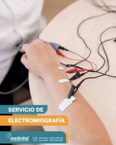 WhatsApp Image 2026 04 23 at 13.59.31 (1)